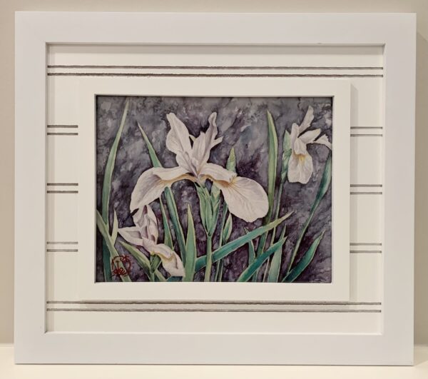 Arctic Iris - Image 2